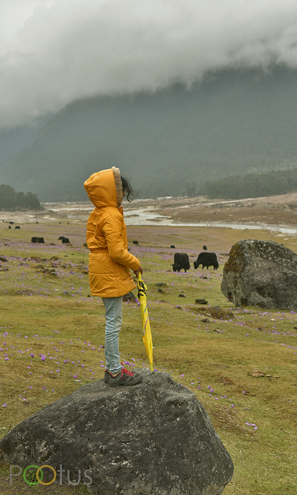 Sneha at Yumthang Valley