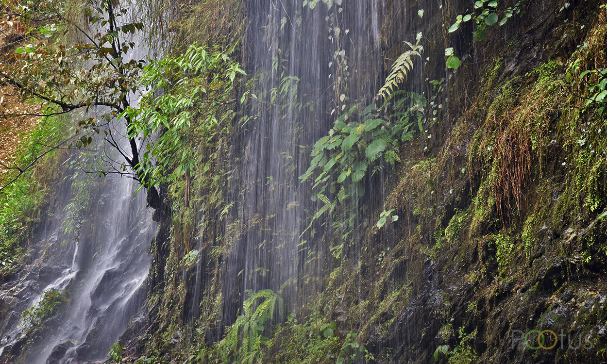The journey to North Sikkim